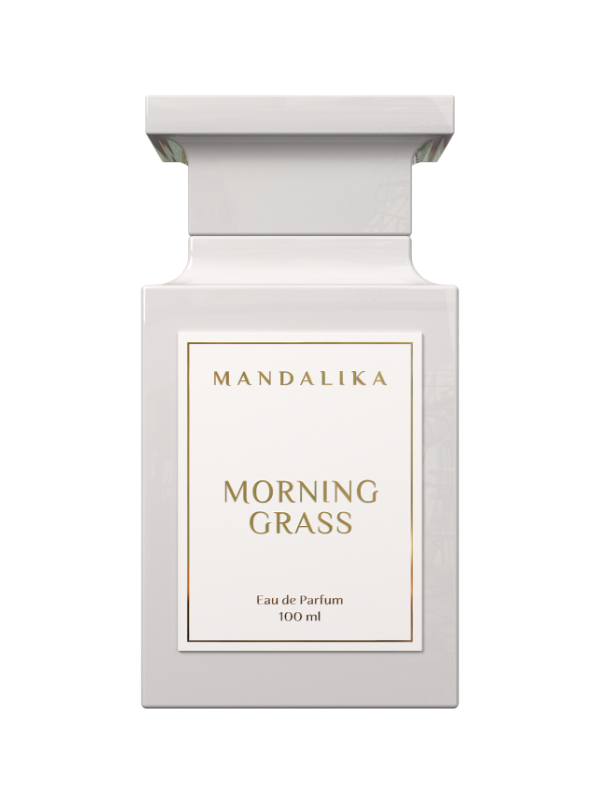 Morning Grass