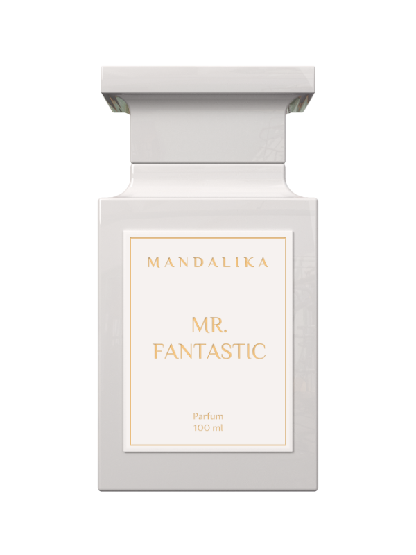 Mr Fantastic